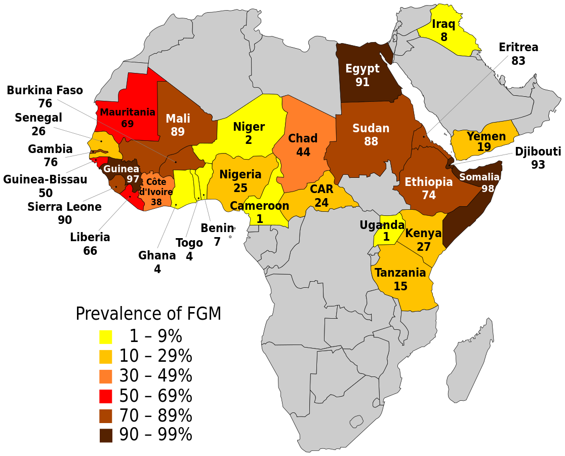 fgm in africa        
        <figure class=