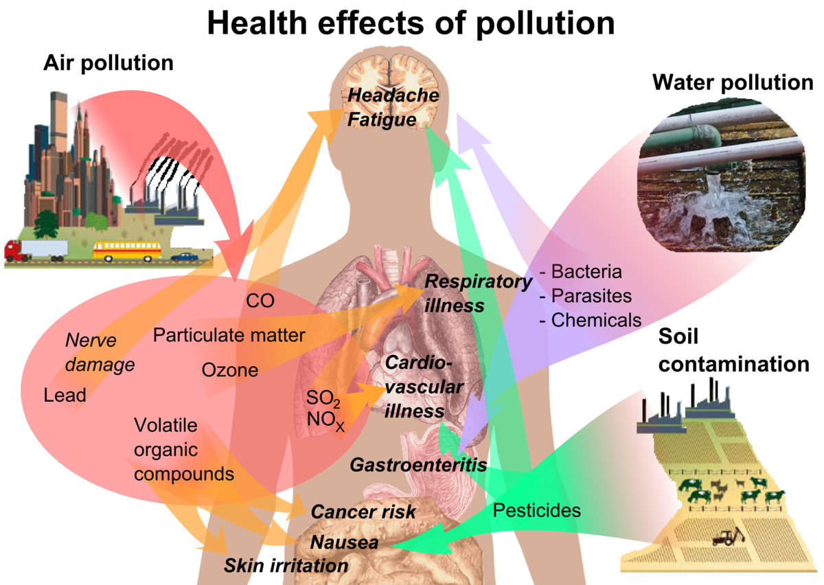 What Are Some Negative Effects Of Air Pollution