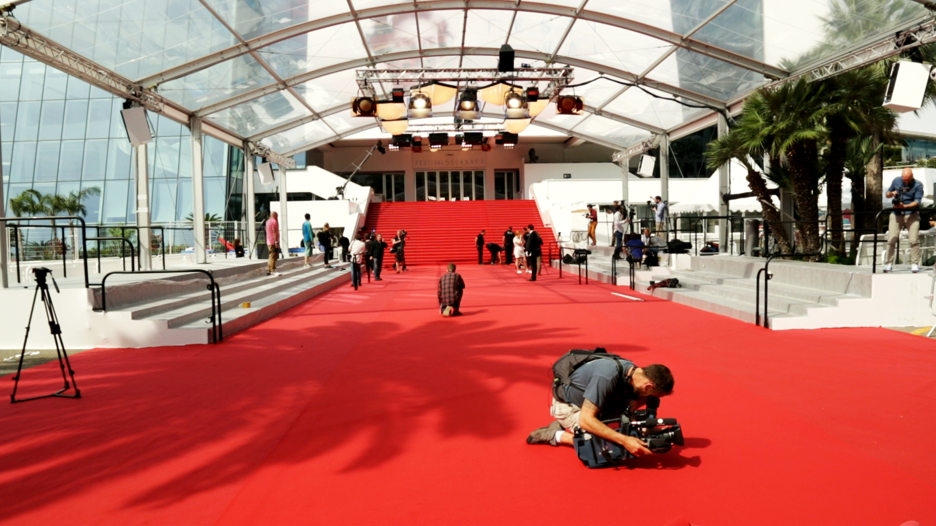 Festival De Cannes Tapis Rouge Festival De Cannes Les Accidents