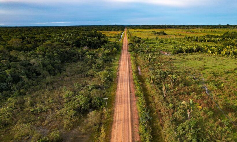 Brazil's Congress Passes Bill to Pave Highway Through Heart of   Rainforest