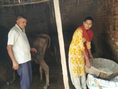 Surjeet Kumari and her husband, Pardeep Kumar, in their barn. Surjeet started a mushroom business, which helped the family weather a variety of hardships, including the COVID-19 pandemic and climate change.