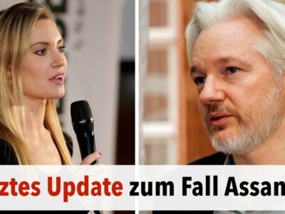 Das letzte Update zum Fall Assange von Taylor Hudak