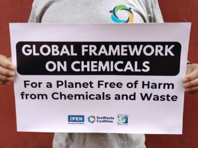 Civil society groups are one with other stakeholders in promoting the active and effective implementation of the framework towards a healthy and toxics-free planet.