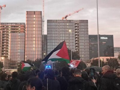 manifestazione palestina Anna Lodeserto